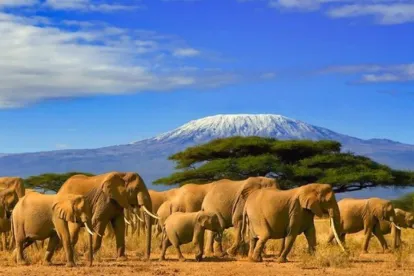 Kilimandjaro Afrique
